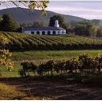 Barboursville Vineyards