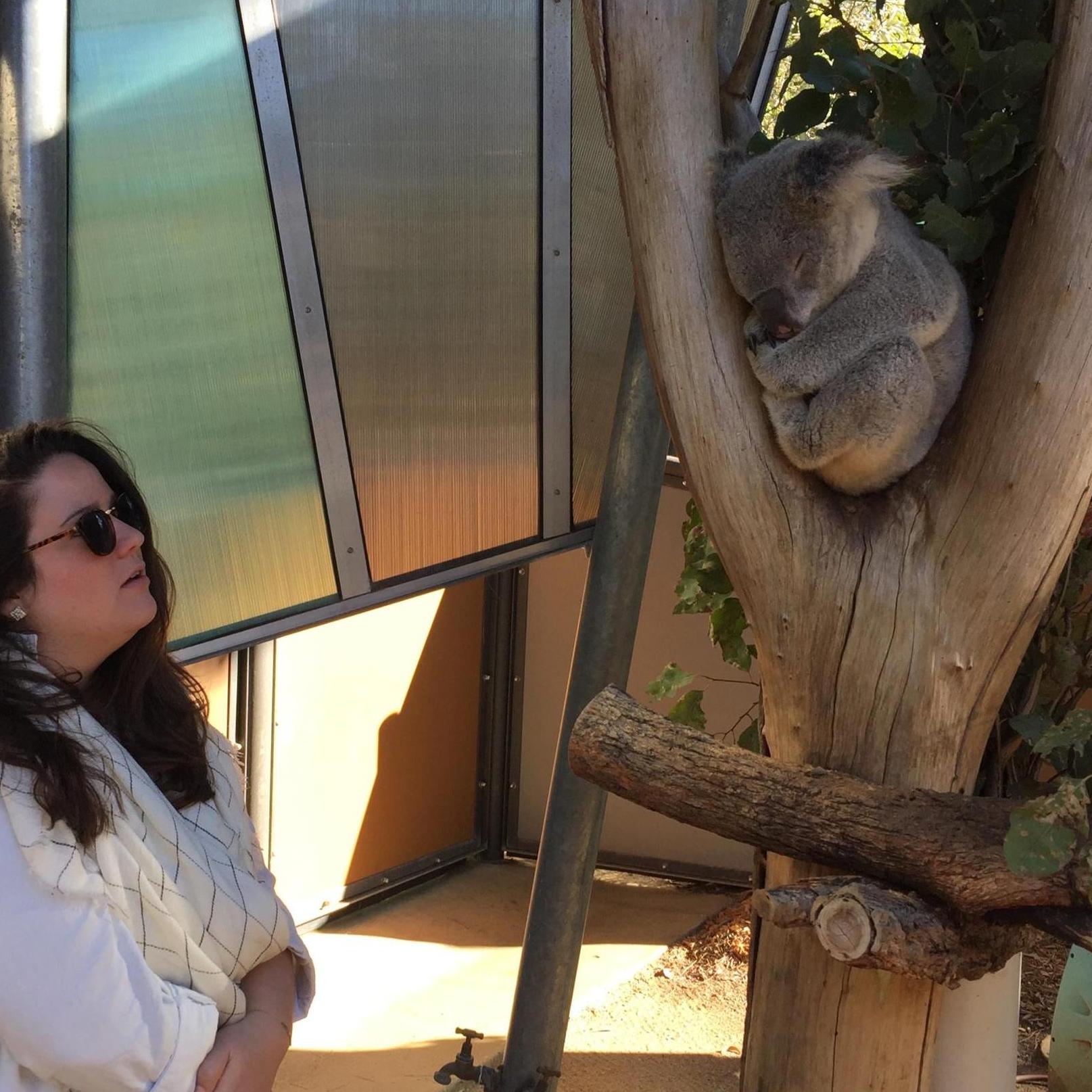 ...and met our new best friend, Darwin.
Sydney, Australia.
May, 2016
