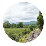 Andrews Valley Rail Tours