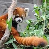 Brandywine Zoo