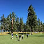 Golfing