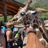 Cheyenne Mountain Zoo