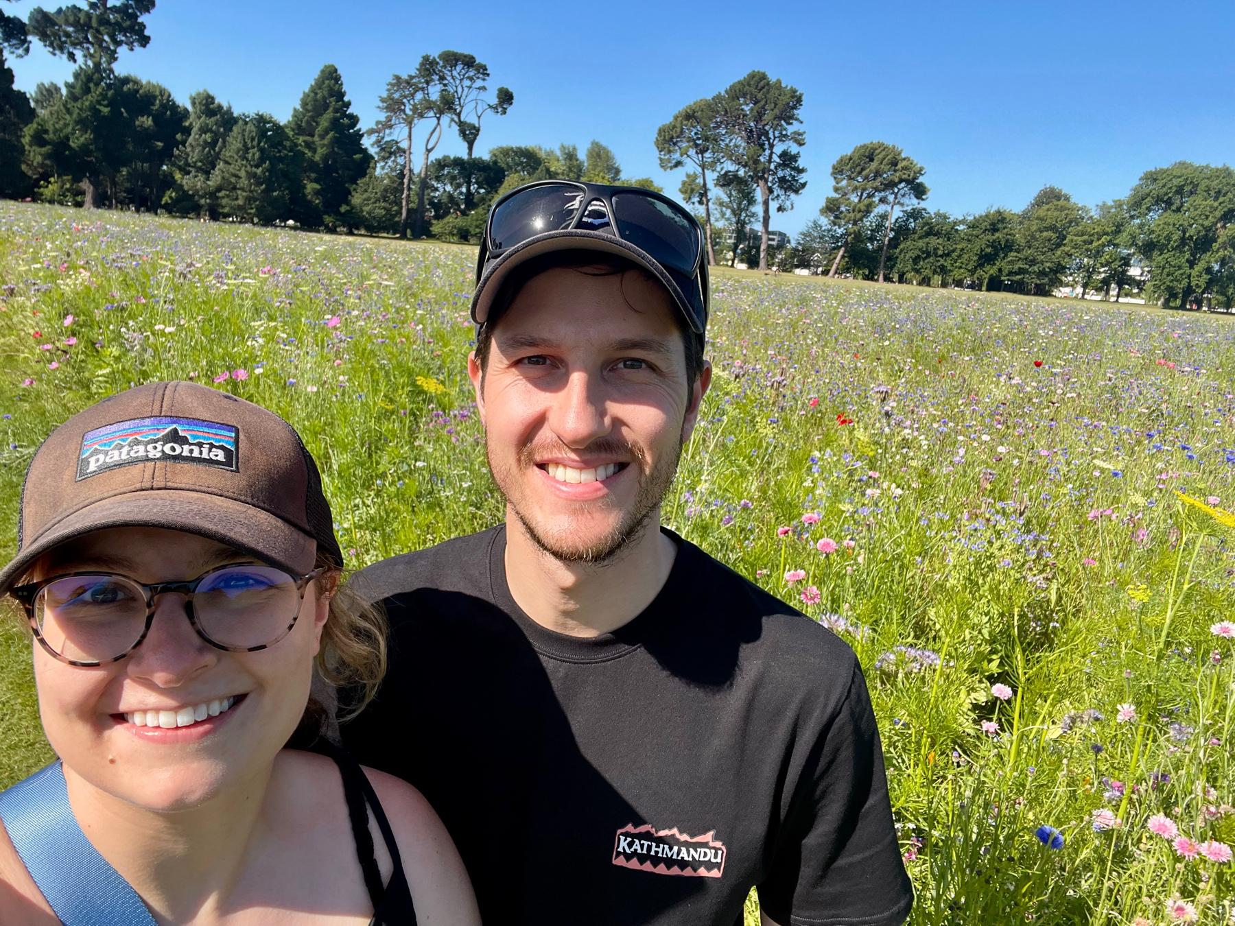 Wild flowers in Hagley Park, January 2023.