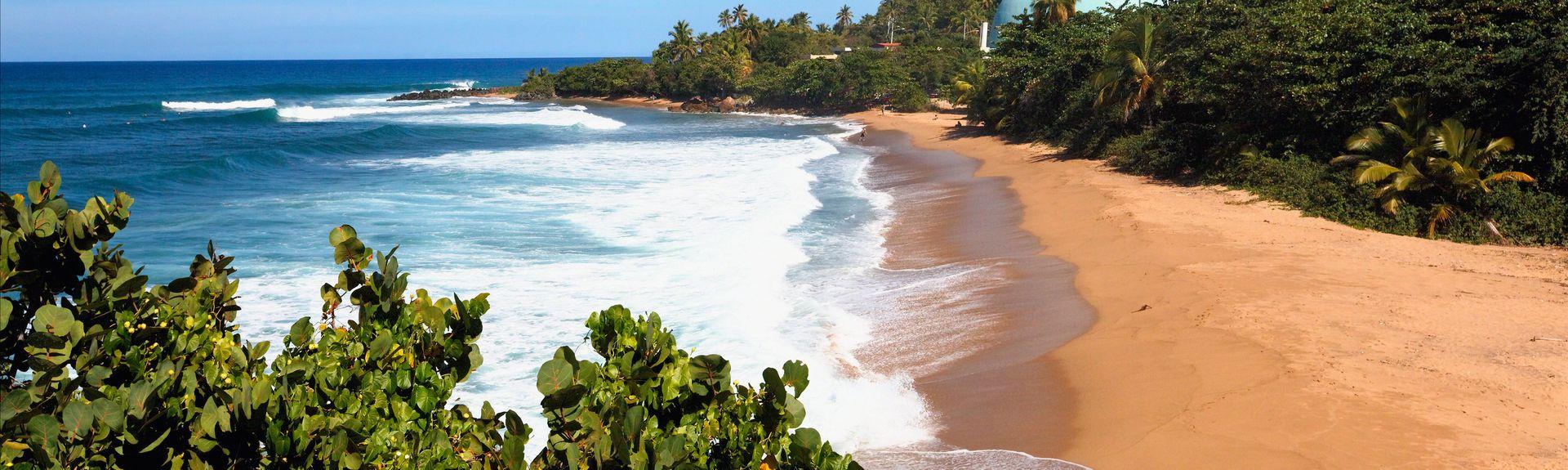 The Wedding Website of Carolina Vargas and Brandon Garcia