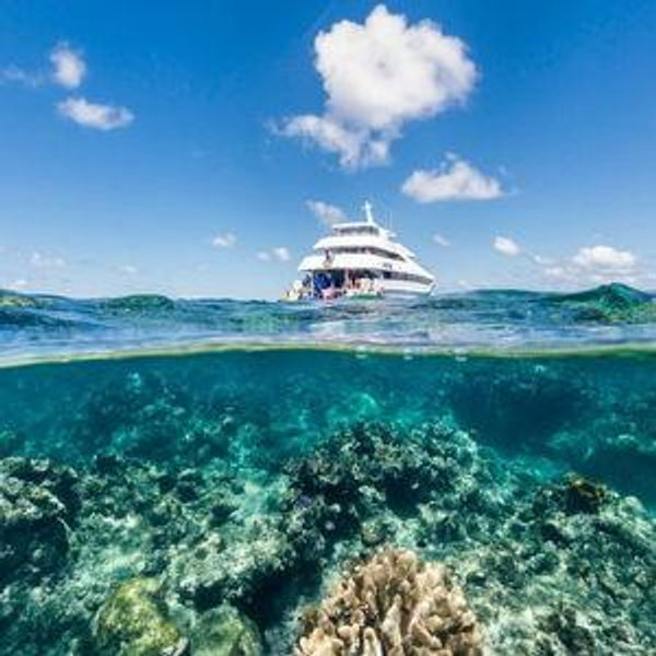Snorkeling For Two in the Great Barrier Reef