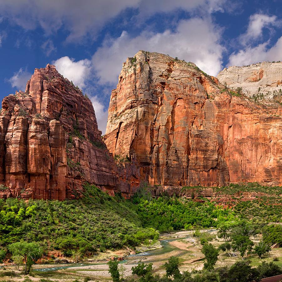 Zion Trip Cash Fund!