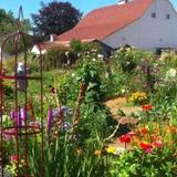 Luscher Farm City Park