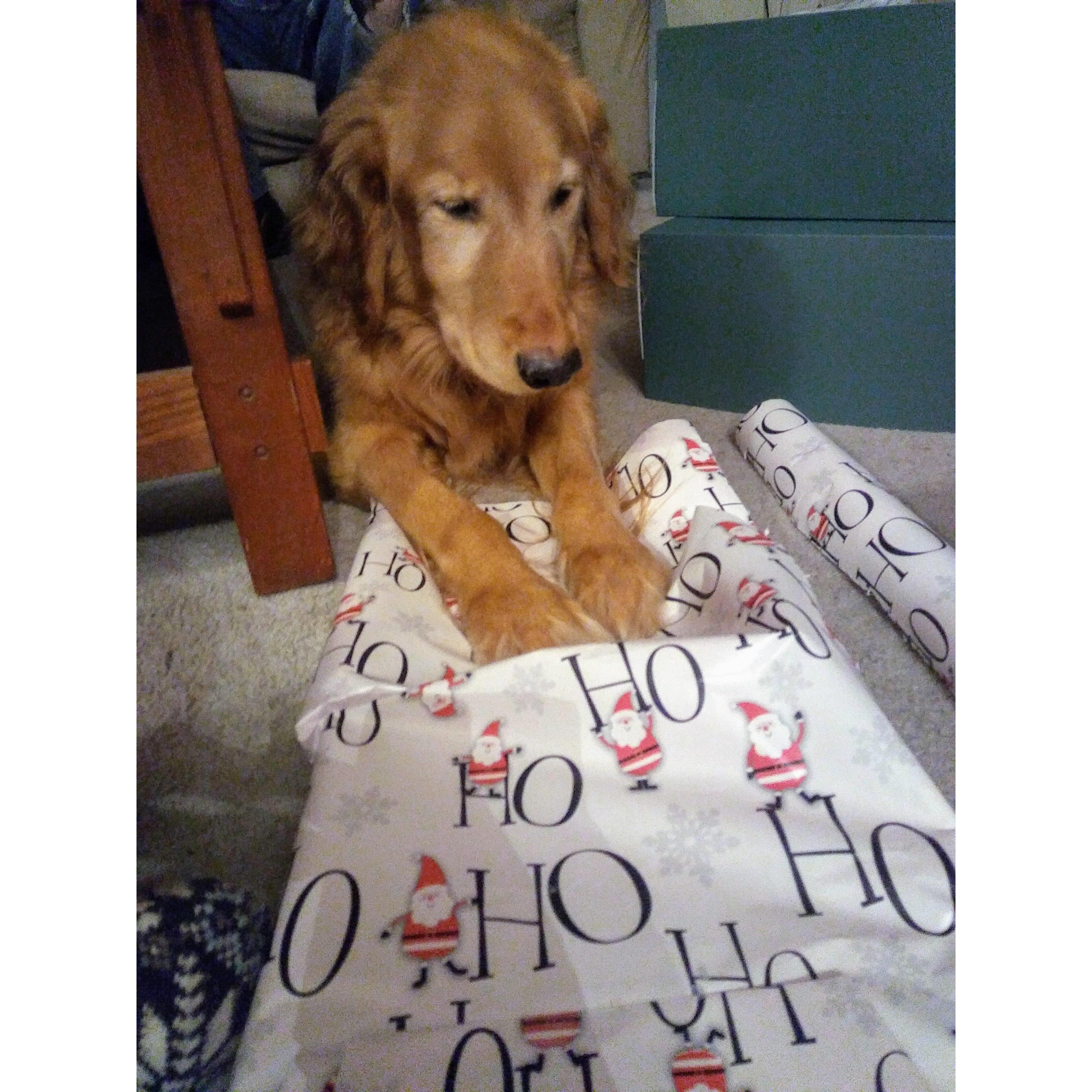 Christmas with Petey 🎄