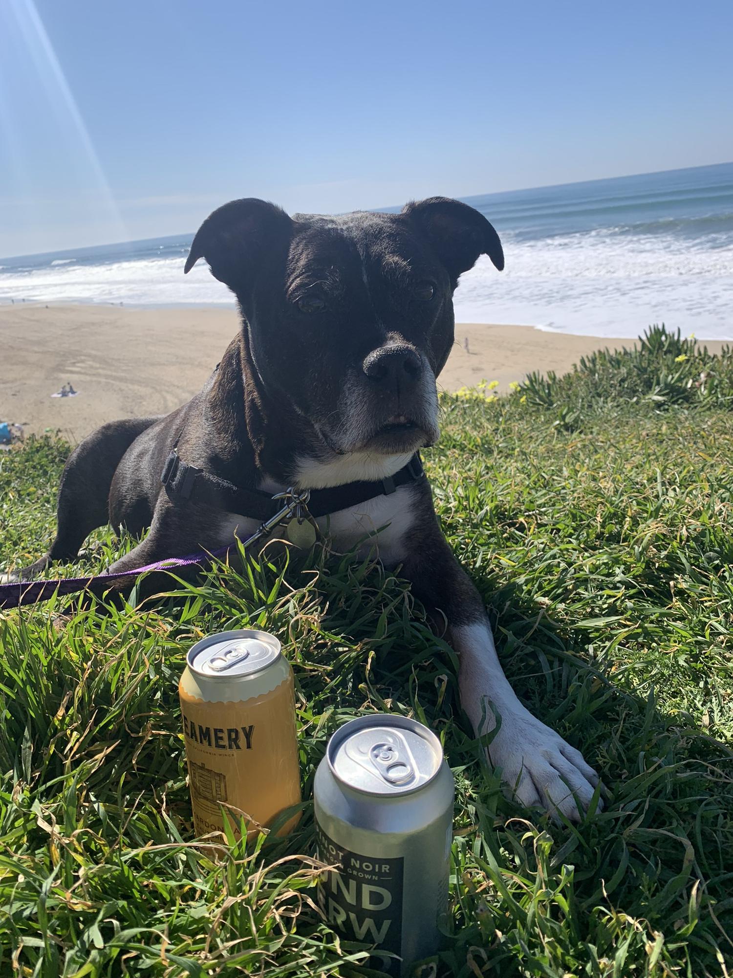 The sweetest lady, patiently waiting for us to finish up the most emotional picnic lunch.