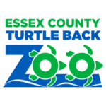 Turtle Back Zoo Carousel