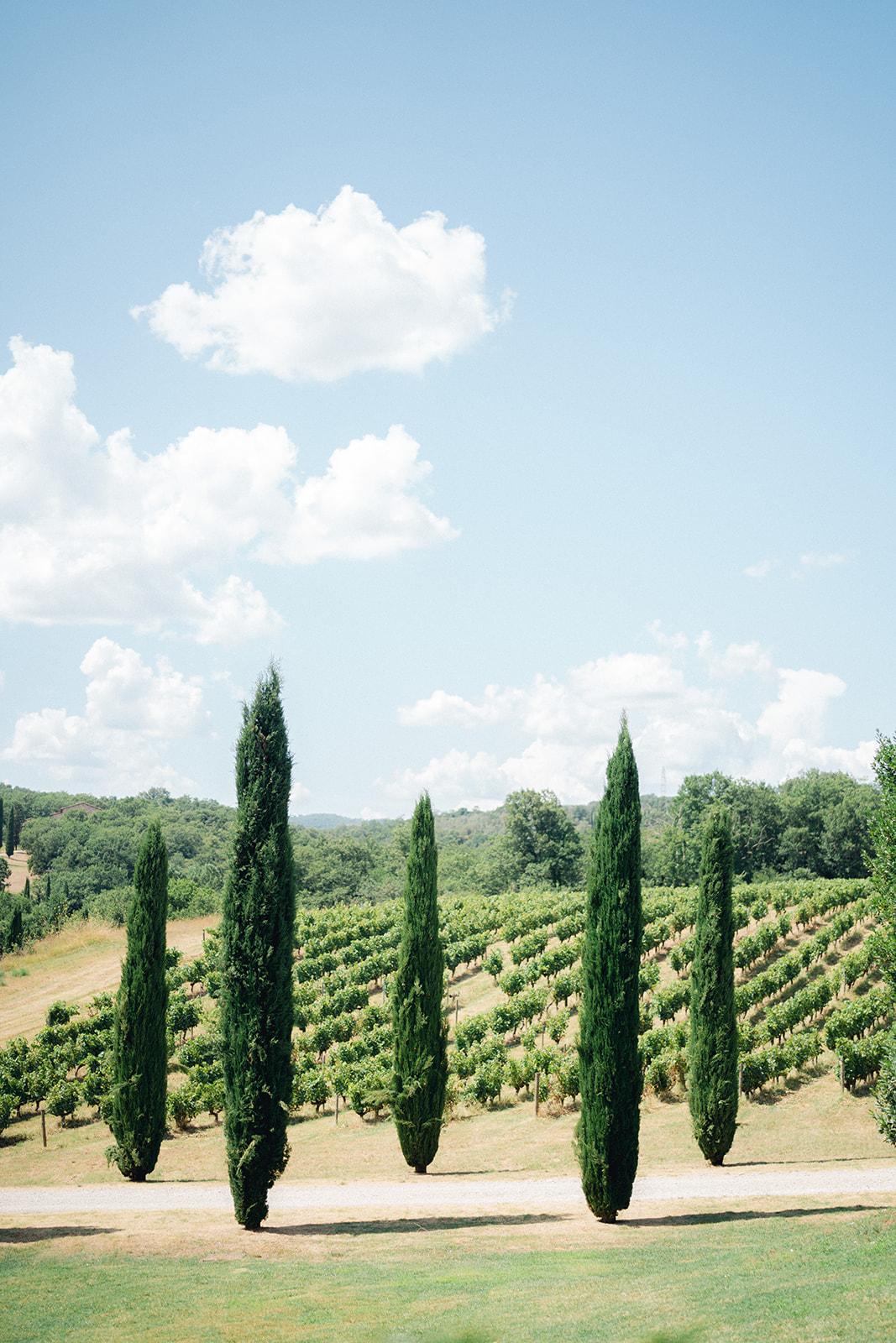 The Wedding Website of Anastasia Bielser and Jack Bessette