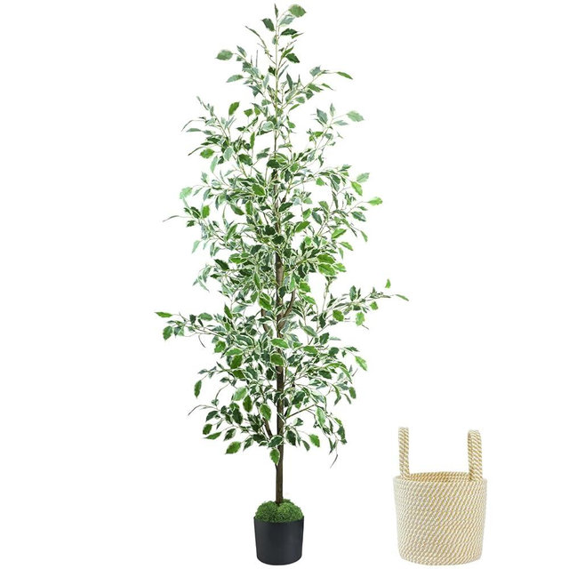 Caxchiling Fake Ficus Tree 6FT,Artificial Floor Plants for Indoor Outdoor, Lifelike Potted Tree with Moss Topper and Cotton Basket, Home Office Living Room Bedroom Doorway Decor (White-Edged Leaves)