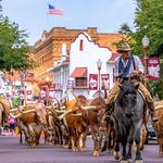 Fort Worth Herd