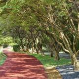 Katy Trail (Dallas)