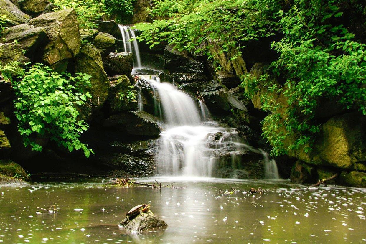 The Wedding Website of Amanda Nicholas and Adam Lash