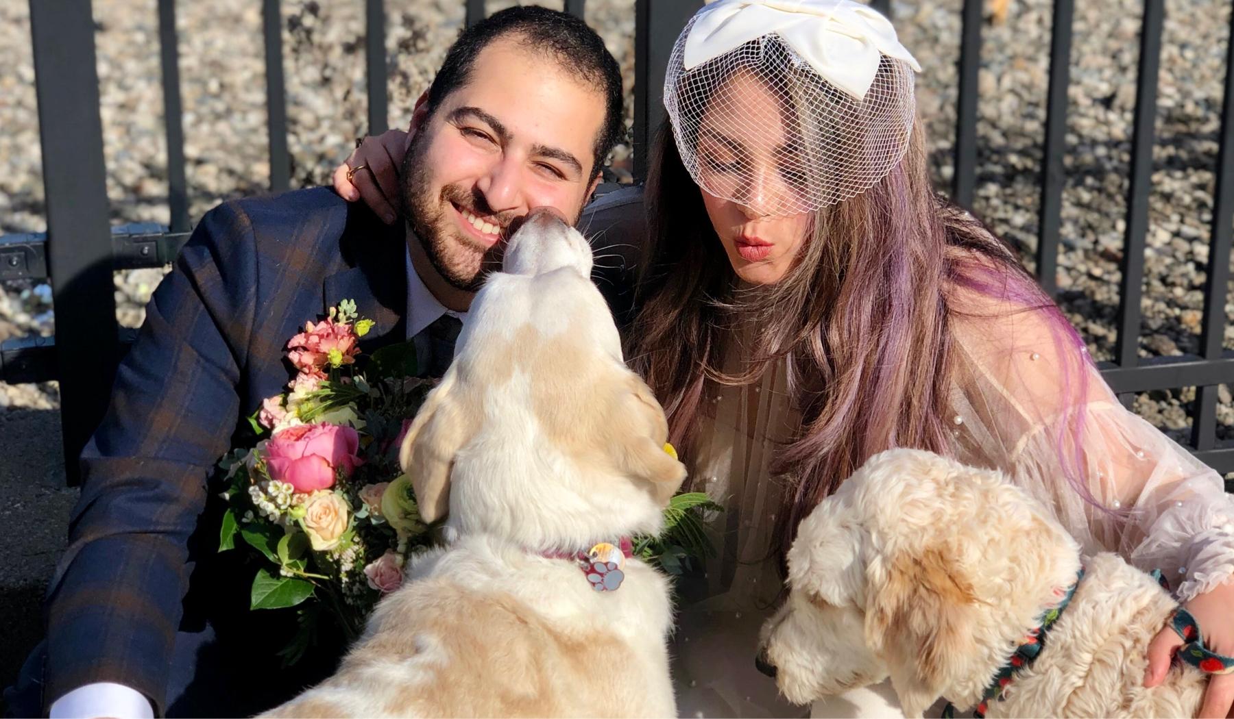 The Wedding Website of Marjan Monfared and Shahab Bayani