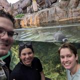 Saint Louis Zoo
