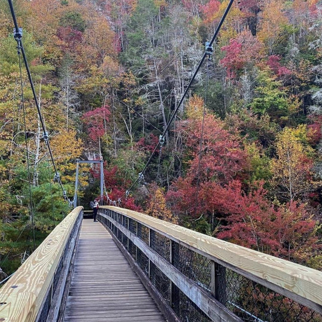 Georgia State Park Pass