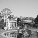 Brooklyn Botanic Garden