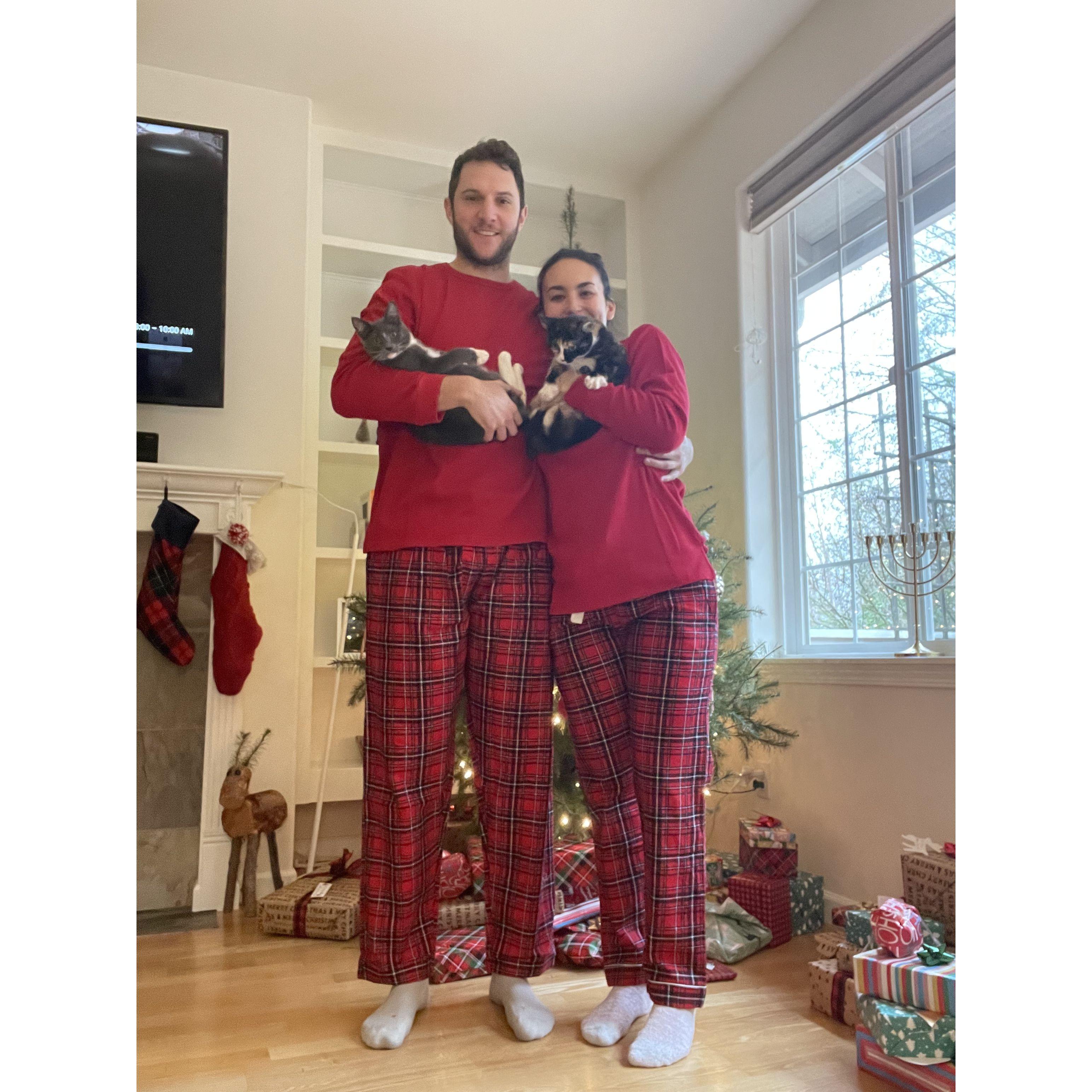 Our first Christmas in Bellingham and with our kitties!