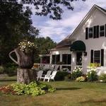 Daily Brew Coffee House