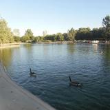 Tingley Beach