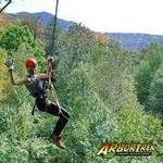 ArborTrek Canopy Adventures