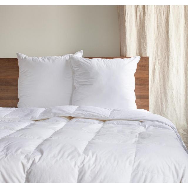 2 Pack Down Alternative Throw Pillow Insert - 26" x 26" Euro - White | BOKSER HOME