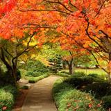 Lithia Park