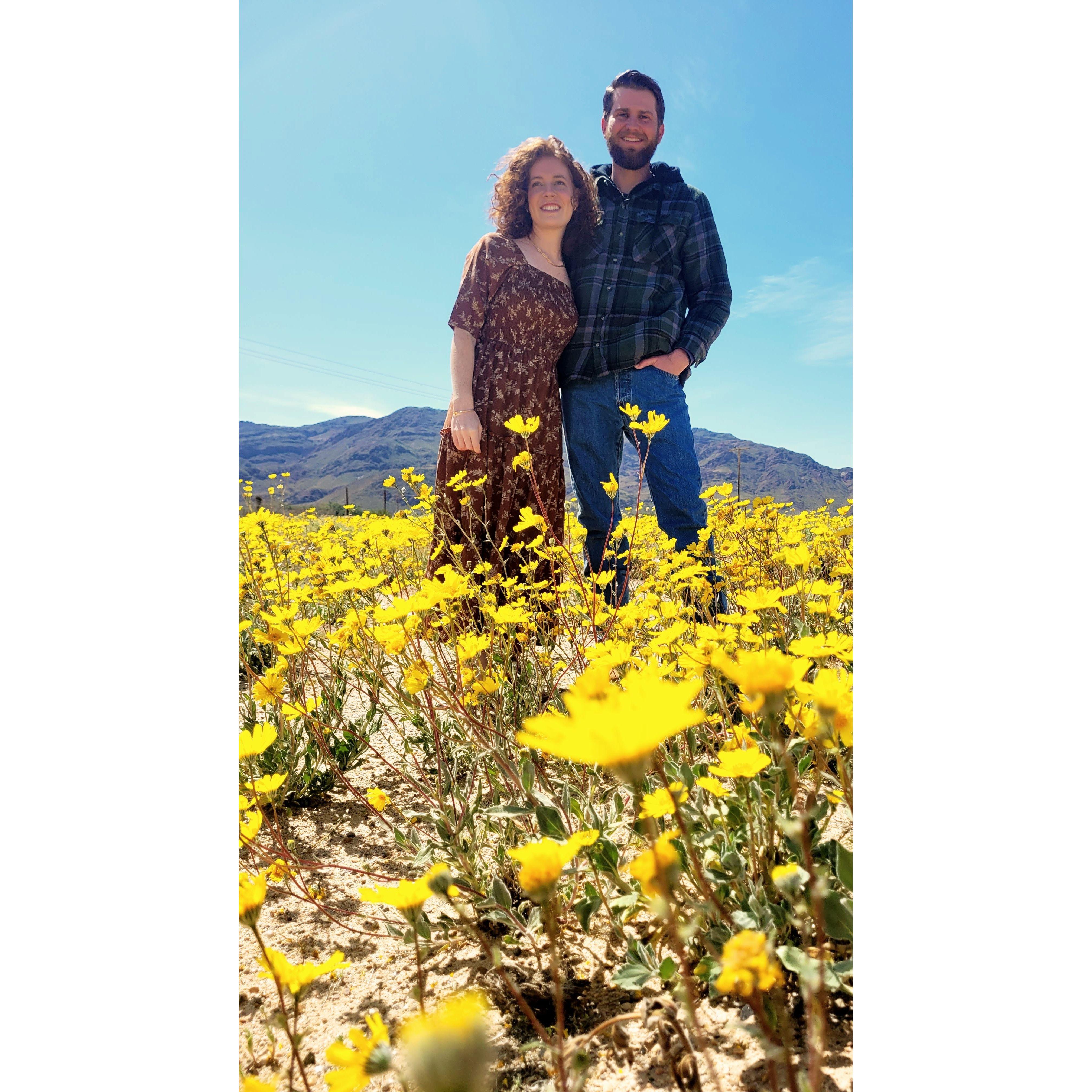 My sister and Maid of Honor to be, Sophia took these pictures in Newberry Springs  a couple months after we first started dating. The wild flowers were beautiful that year.