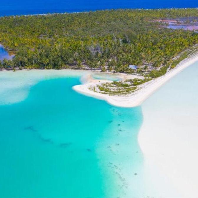 Fakarava è un atollo idilliaco situato nell'arcipelago delle Tuamotu, nella Polinesia francese. Fakarava ospita una delle più grandi e diverse popolazioni di squali al mondo. All'interno della sua laguna incontaminata, conosciuta come il "Buco degli Squali" (Trou aux Requins), si possono vivere incontri emozionanti con diverse specie di squali (squali pinna nera, squali grigi e talvolta anche squali martello).
Fakarava is an idyllic atoll located in the Tuamotu Archipelago of French Polynesia. Fakarava is home to one of the world's largest and most diverse populations of sharks. Within its pristine lagoon, known as the "Shark's Hole" (Trou aux Requins), visitors can experience thrilling encounters with various shark species (blacktip reef sharks, grey reef sharks, and sometimes even hammerhead sharks).