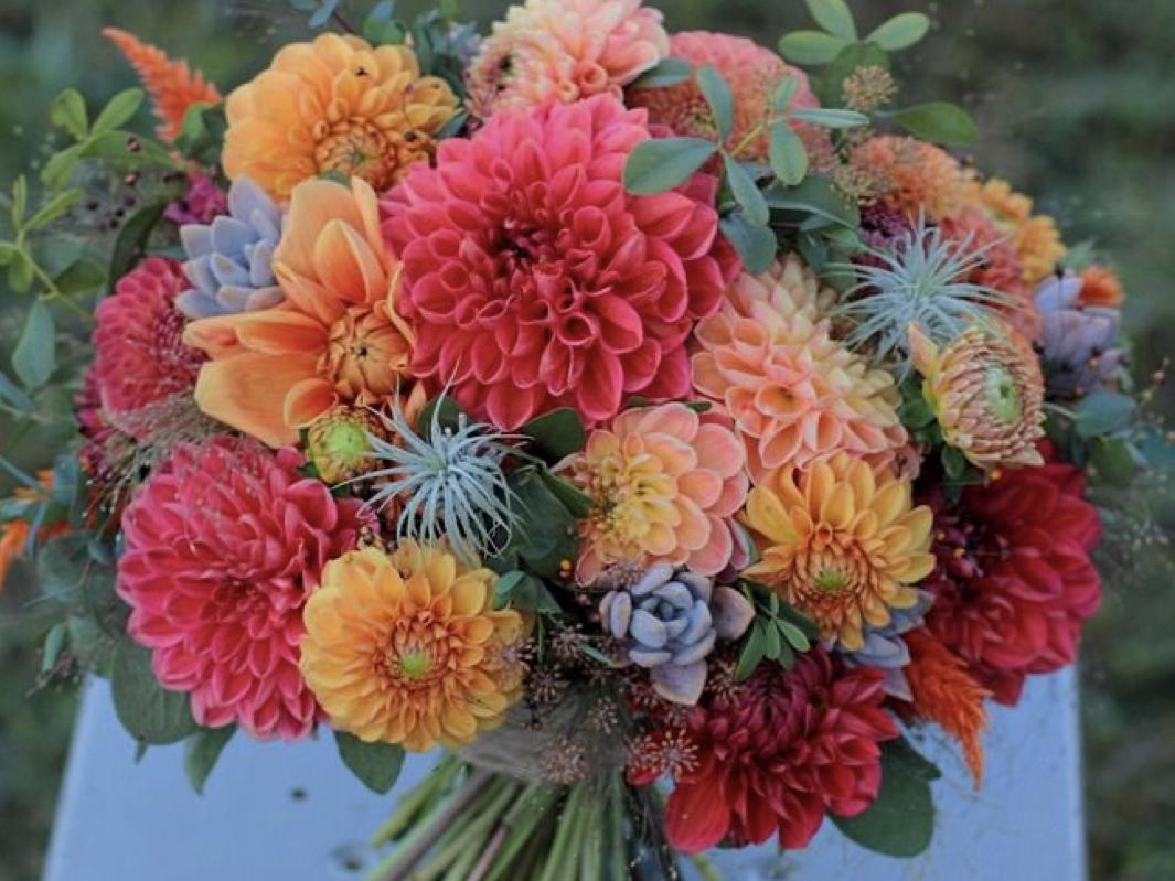 The Wedding Website of Rashell Veerkamp and Andrew Hawkinson