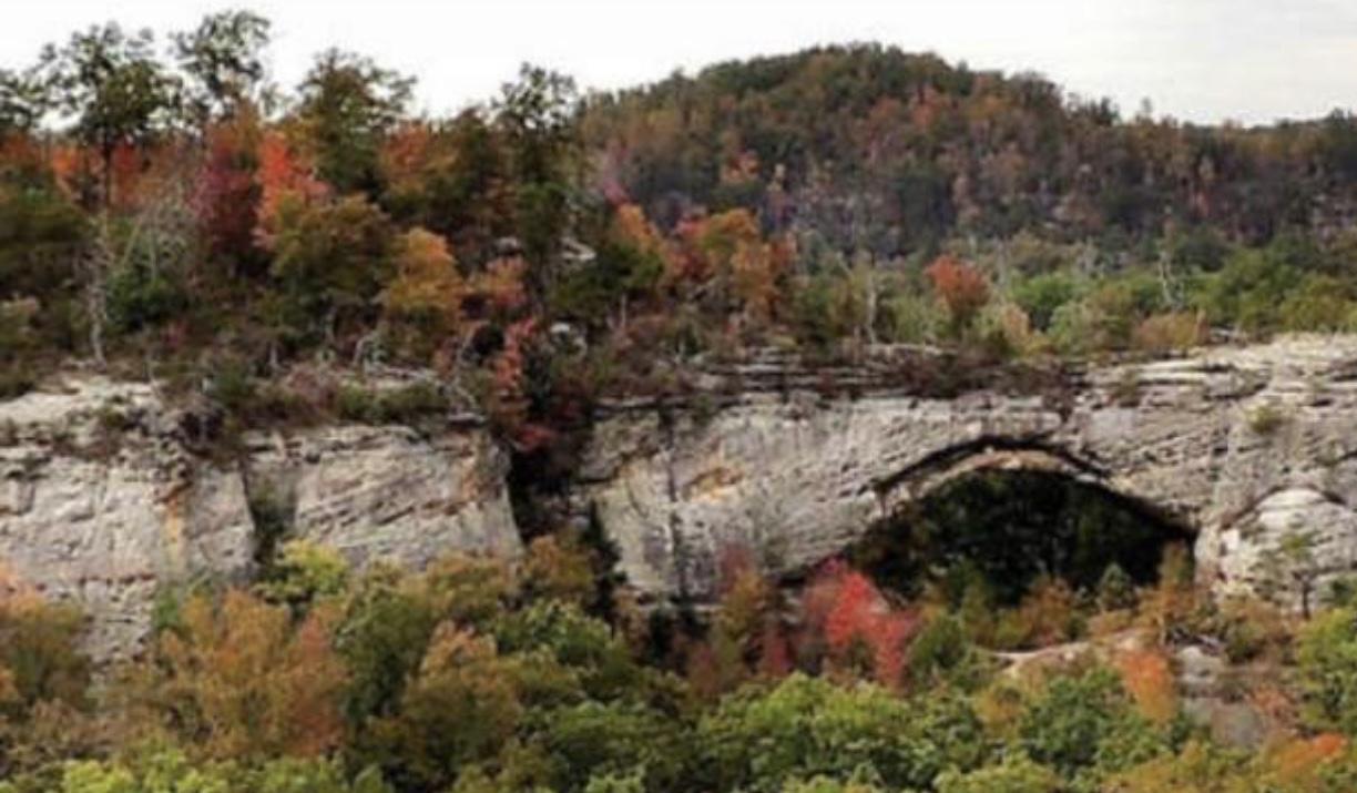 The Wedding Website of Morgan Adkins and Jonathan Crow