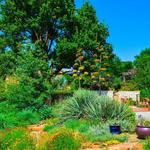 Amarillo Botanical Gardens