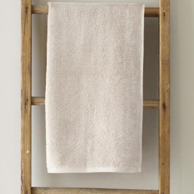 Garnet Hill Signature Hand Towel color: Birch