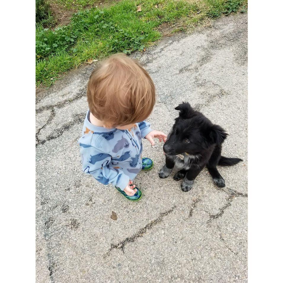 January 2022 ~ Bruce joined the family