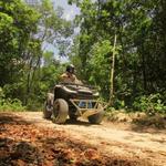 Riviera Maya Essentials - ATV