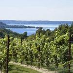 Old Mission Peninsula Wine Trail