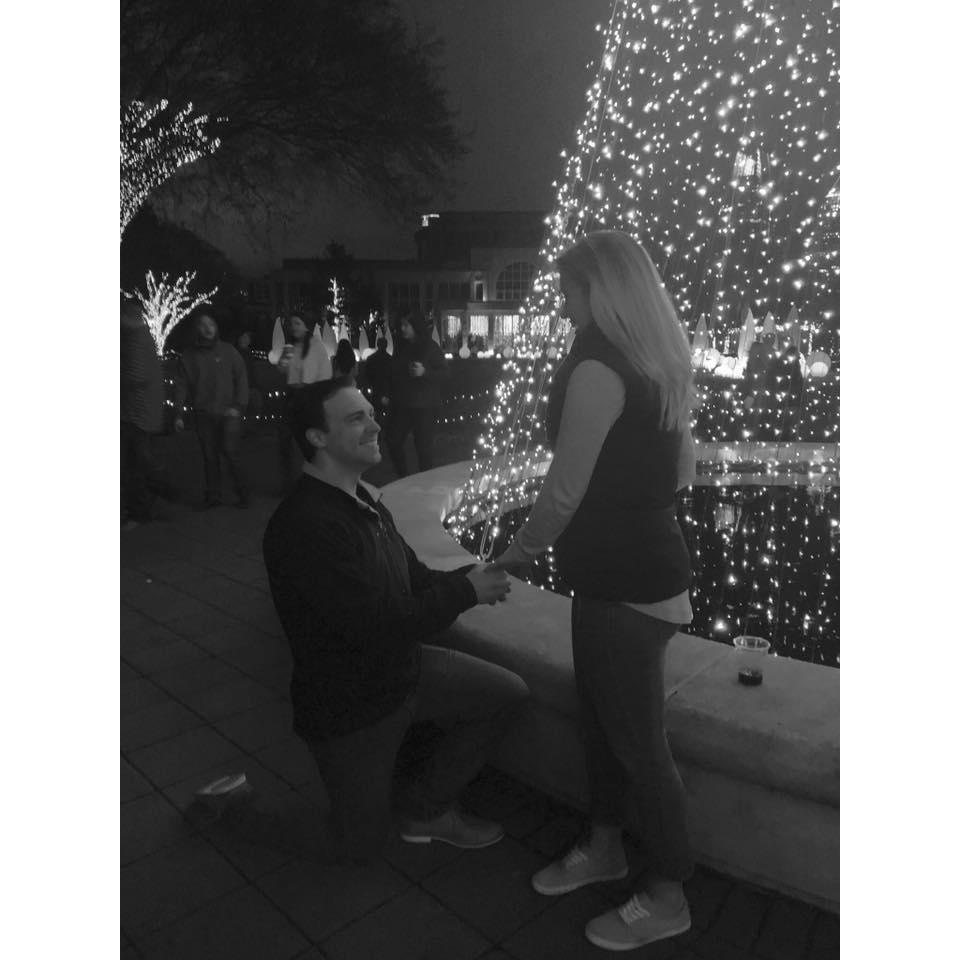 Christmas Eve Proposal at Atlanta Botanical Gardens