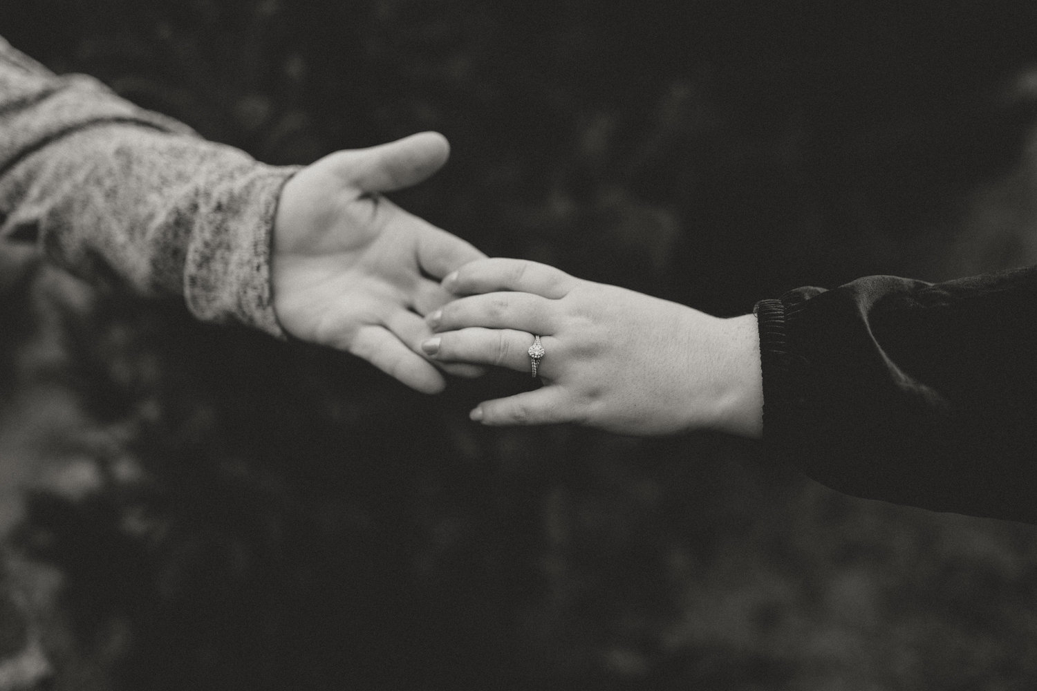 The Wedding Website of Lauren Greschaw and Ryan Green
