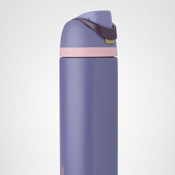 Owala FreeSip Insulated Stainless Steel Water Bottle with Straw for Sports, Travel, and School BPA-Free Sports Water Bottle, 24oz, Blue Jay