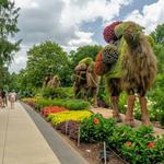 Atlanta Botanical Garden