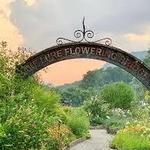 Lake Lure Flowering Bridge