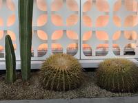 Palm Springs