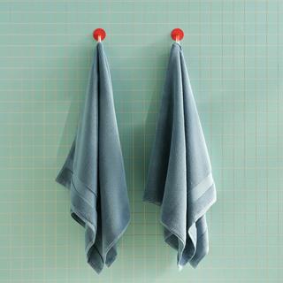 Super-Plush Turkish Cotton Bath Towel, Set of 2