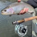 Montana Fishing in April