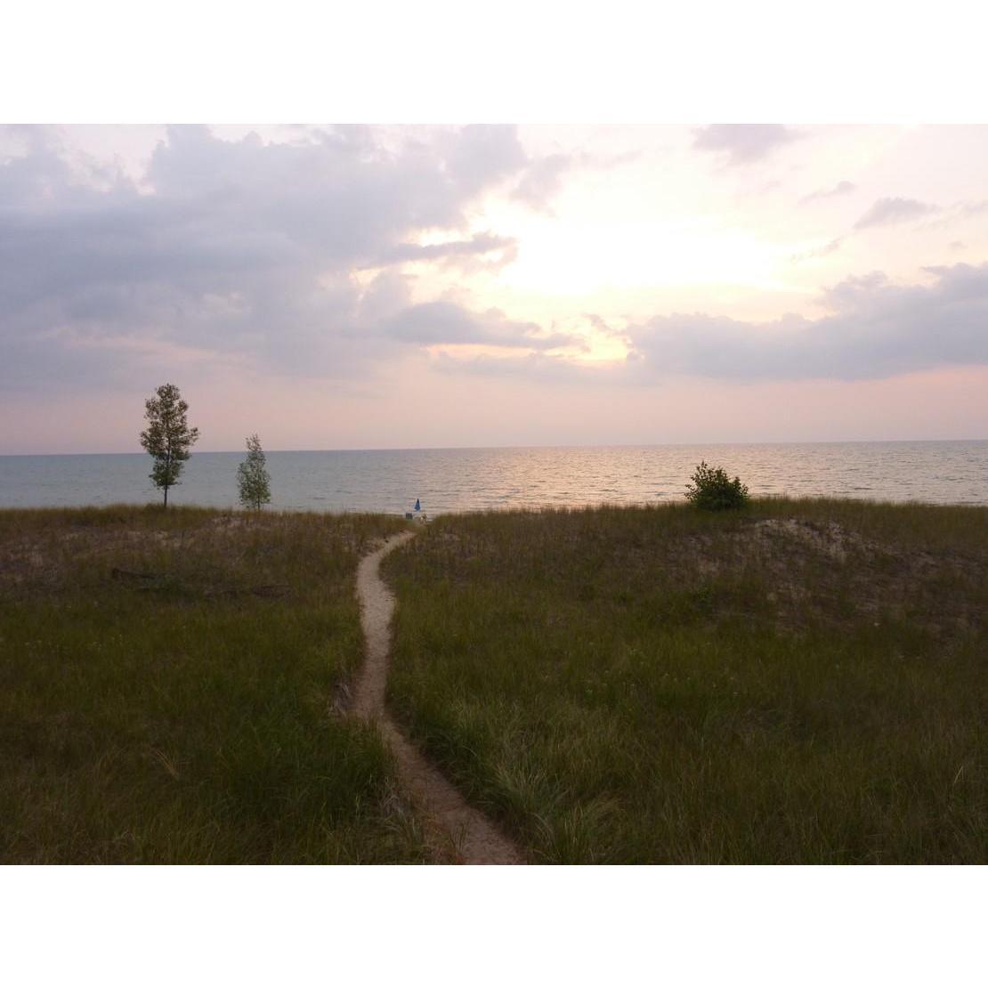 the dunes