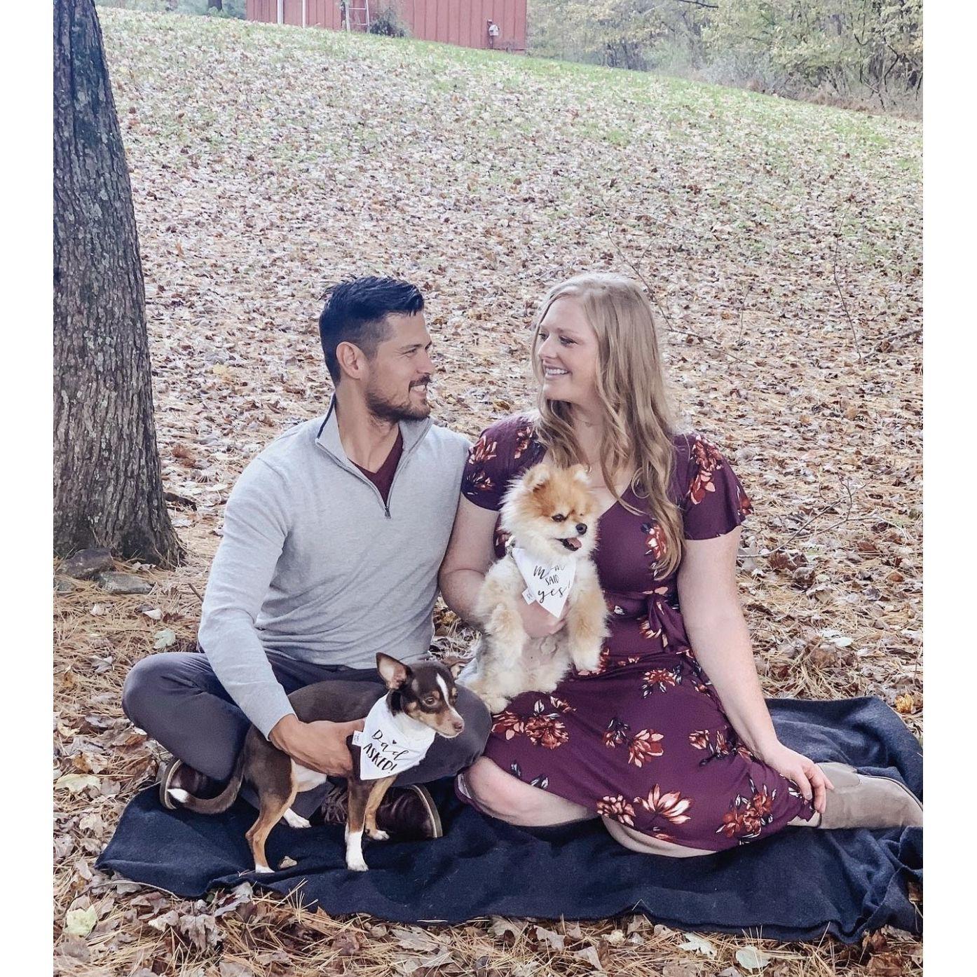 We tried to take some engagement photos with our boys Timber and Bandit