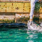 Robbie's of Islamorada