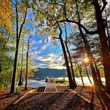 Trap Pond State Park